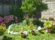 İcarəyə verilir 3 otaqlı 110 m2 həyət evi Quba