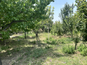 Satılır 13 sot torpaq Mingəçevir