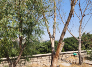 Satılır 1 otaqlı 400 m2 obyekt Bakıxanov