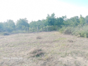 Satılır 2 sot torpaq Quba