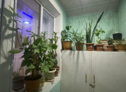 Satılır 3 otaqlı 59 m2 köhnə tikili Əmircan