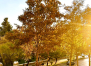 Satılır 4 otaqlı 110 m2 köhnə tikili Səbail r.