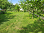 İcarəyə verilir 2 otaqlı 60 m2 həyət evi Qəbələ