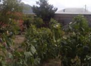 Satılır 150 sot torpaq Ağ şəhər