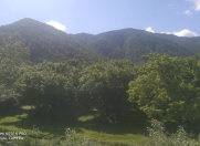 Satılır 6 sot torpaq Oğuz