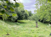 Satılır 22 sot torpaq İsmayıllı