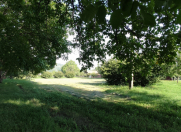 Satılır 10 sot torpaq Qax