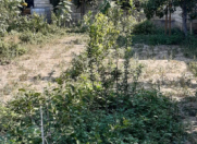 Satılır 4 otaqlı 130 m2 həyət evi Şirvan