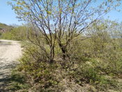 Satılır 0.8 sot torpaq Xızı