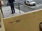 Satılır 1 otaqlı 55 m2 yeni tikili Saray