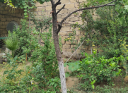 Satılır 3 otaqlı 71.6 m2 həyət evi AMAY