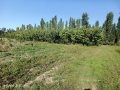 Satılır 250 sot torpaq Xaçmaz