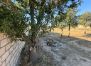 Satılır 5 sot torpaq Maştağa