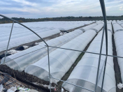 Satılır 420 sot torpaq Xaçmaz