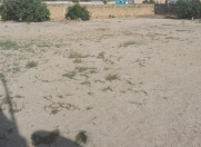 Satılır 15 sot torpaq Türkan