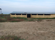 Satılır 150 sot torpaq Məhəmmədli