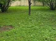 Satılır 11 sot torpaq Qəbələ