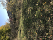 Satılır 12 sot torpaq İsmayıllı