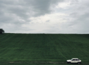 Satılır 430 sot torpaq Quba