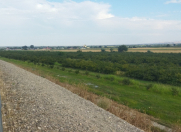 Satılır 400 sot torpaq Xaçmaz