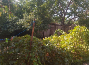 Satılır 6.3 sot torpaq 6 mkr