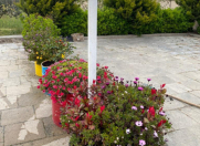 Satılır 2200 sot torpaq Novxanı