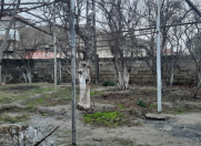 Satılır 2 sot torpaq Asan Xidmət-4