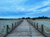 Satılır 150 sot torpaq Zirə