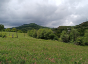 Satılır 40 sot torpaq Qusar