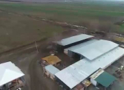 Satılır 6 otaqlı 7000 m2 obyekt Yevlax