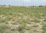 Satılır 36 sot torpaq Nardaran