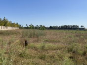 Satılır 100 sot torpaq Maştağa