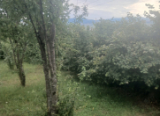 Satılır 12 sot torpaq İsmayıllı