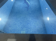 İcarəyə verilir 6 otaqlı 250 m2 bağ evi Novxanı