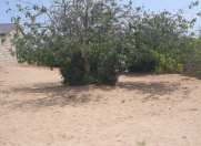 Satılır 2 otaqlı 60 m2 bağ evi Maştağa