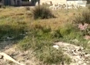 Satılır 5 sot torpaq Məhəmmədli