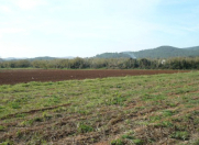 Satılır 250 sot torpaq İsmayıllı