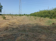 Satılır 46 sot torpaq Xaçmaz