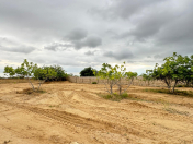 Satılır 10 sot torpaq Nardaran