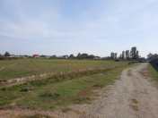 Satılır 250 sot torpaq Lənkəran