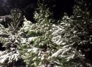 Satılır 4 sot torpaq Məhəmmədli