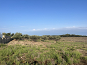 Satılır 100 sot torpaq Buzovna