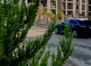 Satılır 2 otaqlı 85 m2 yeni tikili Novxanı