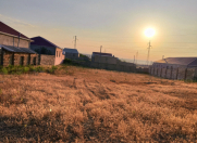 Satılır 10 sot torpaq Qobu