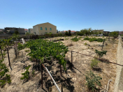 Satılır 25 sot torpaq Nardaran