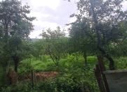 Satılır 19 sot torpaq Qusar