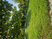 İcarəyə verilir 2 otaqlı 45 m2 yeni tikili Astara