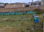 Satılır 9 sot torpaq Göygöl