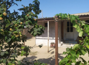 Satılır 3 otaqlı 75 m2 həyət evi Albalı