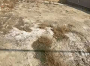 Satılır 3.5 sot torpaq Masazır